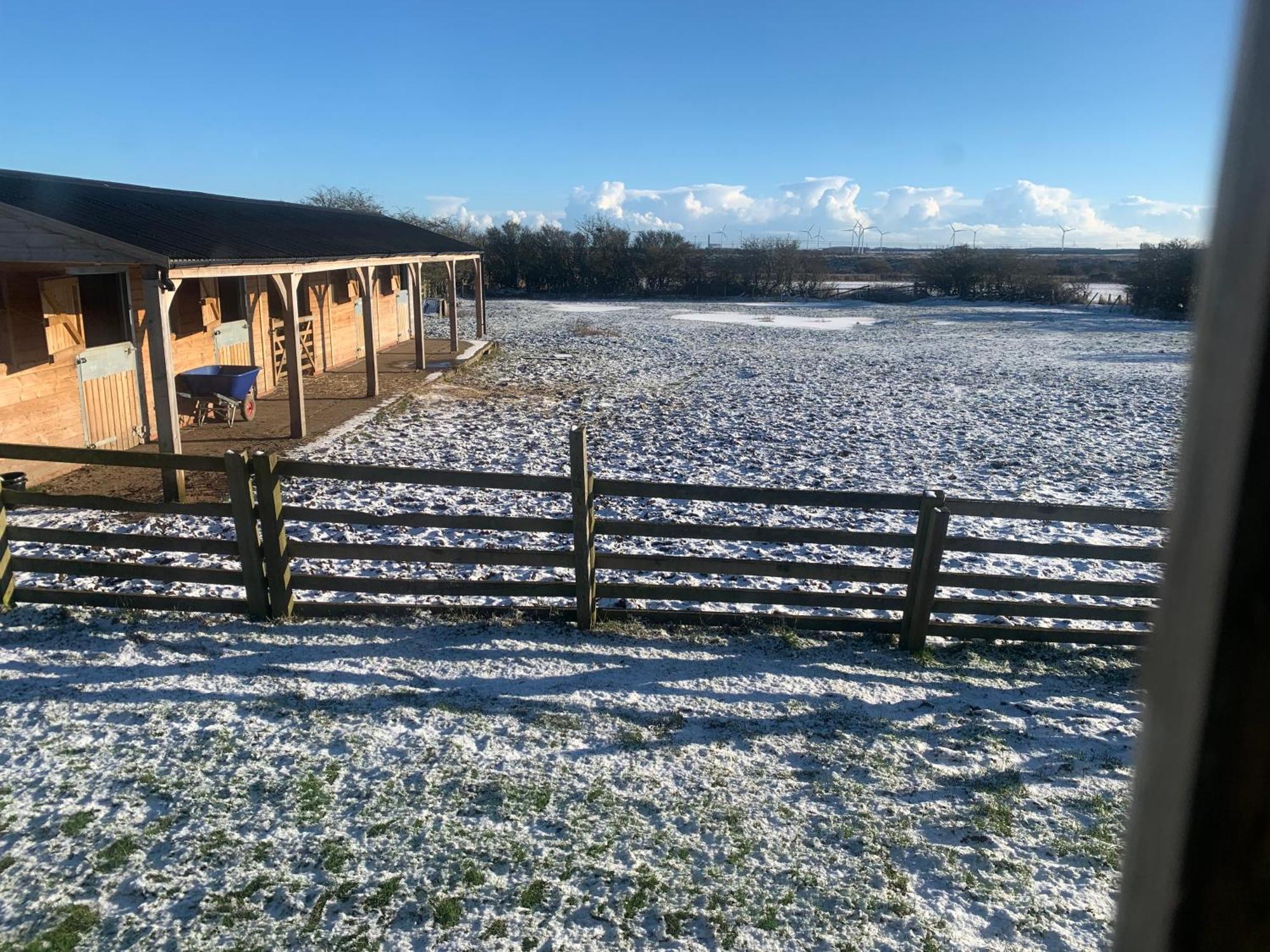 Owls Nest Log Cabin Morpeth Zewnętrze zdjęcie
