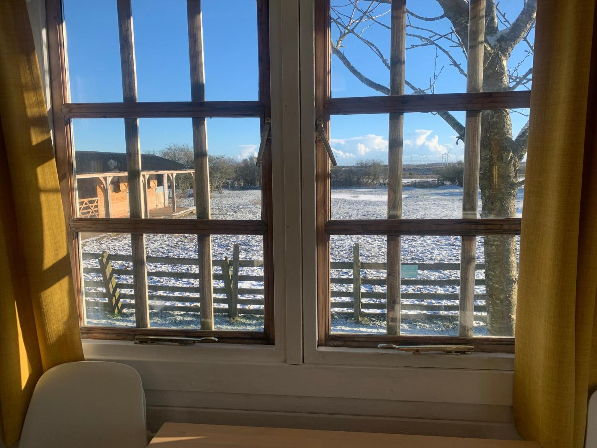 Owls Nest Log Cabin Morpeth Zewnętrze zdjęcie